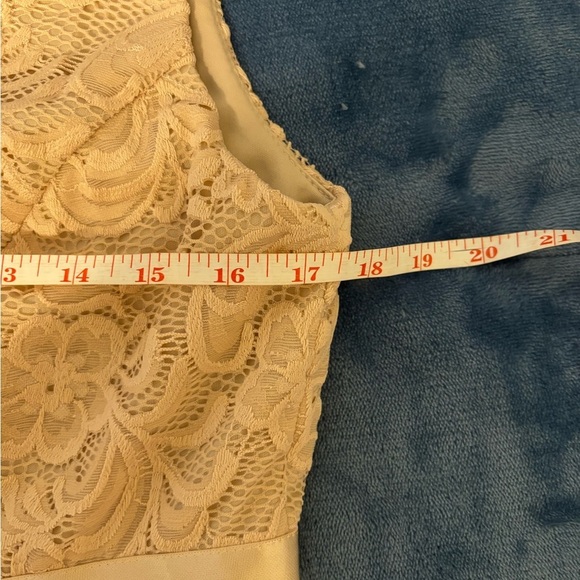 Ever Pretty Lace Midi Dress in Beige and Gold - Picture 5 of 9